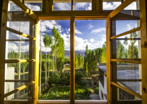 Wood Window Replacement in Greenfield