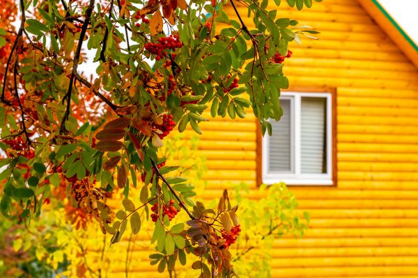 Garden Window Replacement in Greenfield